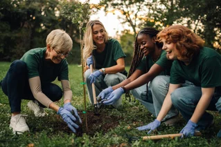 group of women planting a tree